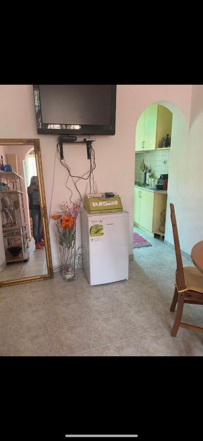 Central Apartment